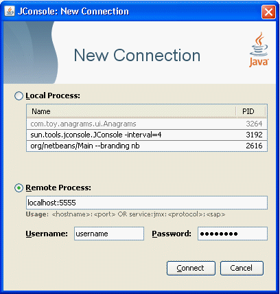 The dialog window for creating connections to remote
processes